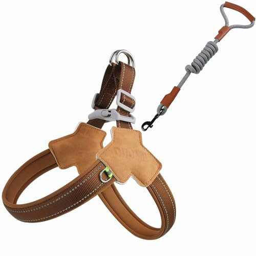 Dog Harness and Leash Set, Anti Pull Step-in Adjustable Reflective Vest Soft Padded Easy Pet Chest Strap with Nylon Rope Dog Leash for Large Medium Small Dogs Walking Training (M)