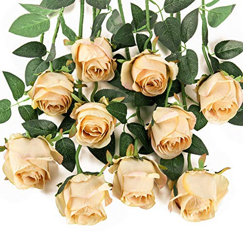 Flojery 10pcs Artificial Rose Silk Long Stem Rose Flower Wedding Bouquet Table Centerpiece Home Decor Champagne