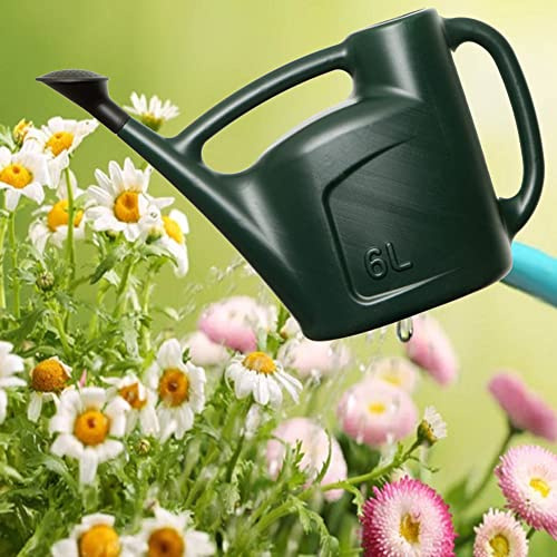Green Garden Watering Can with Sprinkler Head 6 Litre Capacity | with Detachable Rose Head Sprinkler for Indoor or Outdoor Gardening Light Strong & Durable With Handle (1)