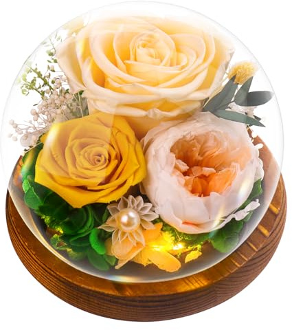 Rose Geschenke für Frauen, Ewige Infinity Rosen im Glas, Konservierte Blumen Geburtstagsgeschenk Mama Freundin,Geschenk für Frau Freundinnen Geburtstag für Jahrestag Geschenk für Sie, Champagnerrose