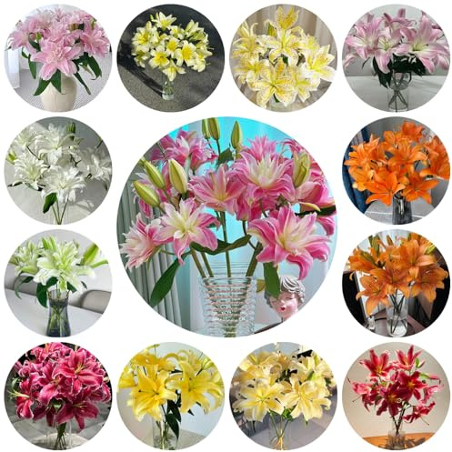 Bulbi di giglio resistenti - tappezzante appartamento moderno per il soggiorno, giardino da decorazione 6pcs