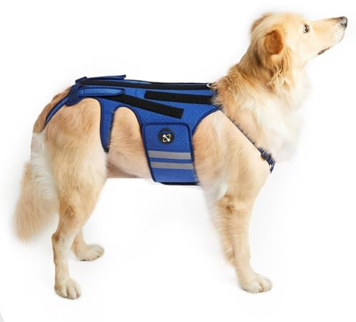 COODEO Hunderückenstütze für Hunde Arthritis, Haustier Rückenstütze für IVDD, Rückenprotektor hilft Schmerzlinderung, chirurgische Erholung und Rehabilitation, Hunde Rückenerkrankungen Prävention (S)