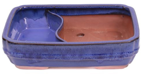 generisch Bonsai - Schale, Wasserschale, eckig 27 x 20.5 x 7.5 cm blau 51358