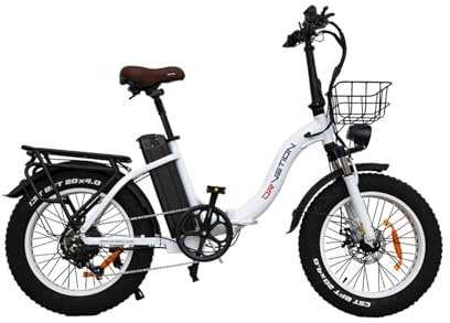 KIMDYMA 20 Zoll E Bike Klapprad Faltrrad Erwachsene 250W Motor, 48V Akku Bis 110 km Reichweite, City Bike All Terrain Fatbike 20x4.0 Reifen, LCD Display, Scheibenbremsen