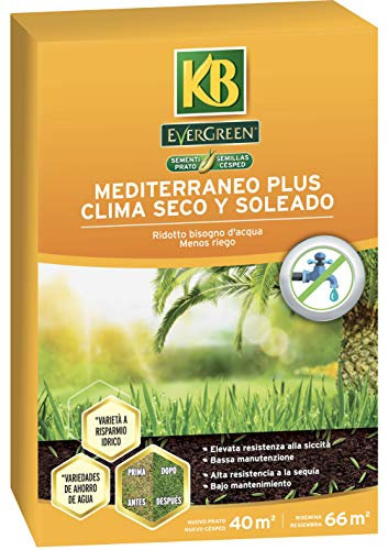 KB Graines gazon méditerranéen 1 kg 40 m²