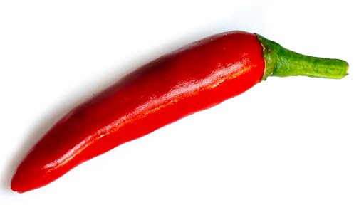 Gochu Also Known as Korean x 10 Chilli Seeds