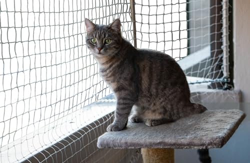 SPIRDS Katzennetz Für Balkon Katzen-Fensterschutz Balkonschutz Katzenschutz Schutznetz Für Katze Balkon Terrasse Fenster Katzenschutznetz Mit Befestigungsklammern 60 St Katzen-Zubehör Beige 4x2 m