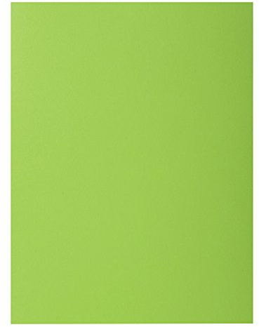 Exacompta - Cod. 216013E - Confezione da 50 cartelline rigide con 2 alette ROCK''S 210 g/mq - colori vivaci - dimensioni 24 x 32 cm per documenti formato A4 - colore verde