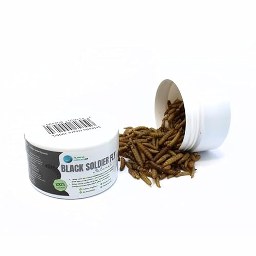 Larva Black Soldier Fly Plantasacuario 100ml, Alimento a Base de Insectos 100% Natural para Peces, Aves y Reptiles Rico en proteína y vitaminas