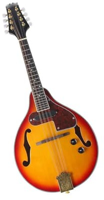 Acoustic Mandolin Eight String Electric Mandolin Model A Rosewood Fingerboard Accessories Included