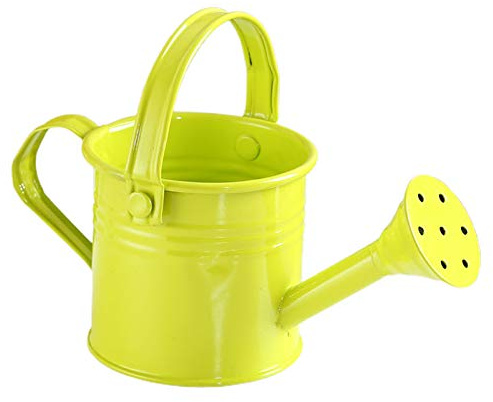 Srliya Mini Arrosoirs, Arrosoirs Colorés, Mini Arrosoirs de Jardin pour Enfants, Arrosoirs en Fer pour Enfants, Mini Arrosoirs bonsaï, Mini Arrosoirs de Jardin en Fer (Vert Clair)