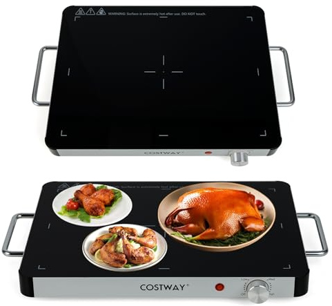 COSTWAY Elektrische Warmhalteplatte, Speisewärmer mit einstellbarer Temperatur 30℃-120℃ & gehärtete Glas, Warmhaltebehälter Buffetwärmer für Partys, Buffets (M, 48 x 32 x 4 cm)