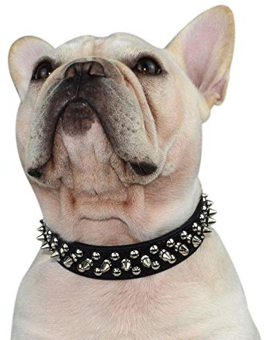 Hifrenchies Hundehalsband mit Nieten, Pilz-Nieten, verstellbar, Mikrofaser-Leder, Haustier-Halsbänder für Französische/Bulldogge/Mops, geeignet für kleine, mittelgroße und große Hunde (XXL, schwarz)