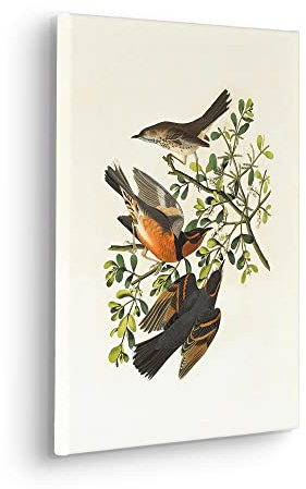Komar Heidi Stretcher Frame Picture in Real Wood Frame Size 30 x 40 cm