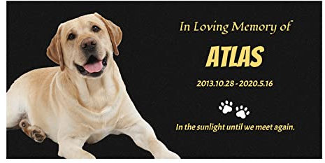 LAIFU Pietra commemorativa per Animali Domestici con per Foto Personalizzabile - Cane o Gatto all'aperto per Interni per Giardino Indicatore di Cortile Pietra tombale Grave 15 * 30cm