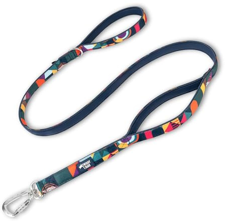 Twiggy Tags Padded Lead with Extra Handle | Strong Dog Lead with Close Control Lead | Reflective, Locking Carabiner, Durable & Comfortable | Aurora, Multi-Colour | Suitable For All Dog Breeds| 1.5m