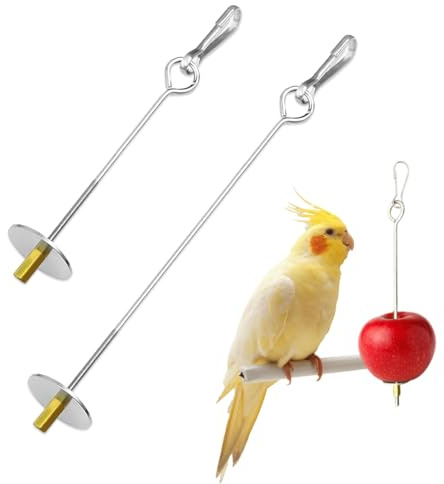 ZORVYN 2 PCS Acero Inoxidable Brocheta para Pájaros Dispensador de Comida Soporte de Frutas Juguete de Búsqueda de Alimentos para Periquitos, Loros y Ninfas (Plata)