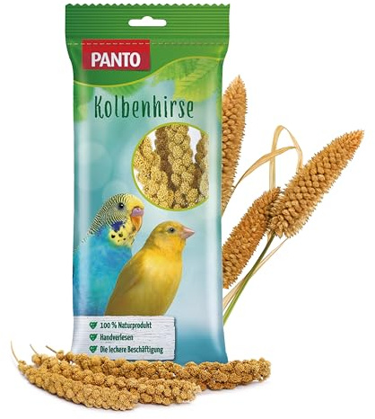 PANTO Kolbenhirse 18 x 100 g – Knabberspaß für Ziervögel, Vorrat | Handverlesene Kolbenhirse zur Beschäftigung – naturbelassener Snack für Wellensittiche, Papageien & Kanarienvögel