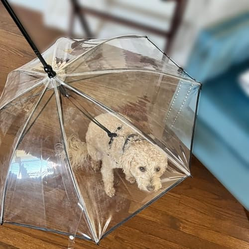 EXCLURA Hunde Regenschirm Leichter Hundeschirm mit Seilleine, Kleiner Hunde-/Katzenschirm mit Winkelverstellbarer Stange, Einfach zu Montierender Haustierschirm für Zwergspitze(Adjustable Rope Leash)