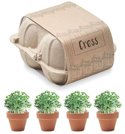 Conny Clever Kresse-Anzuchtset im Eierkarton, 4 Tontöpfe mit Substrat, 11 x 11 x 7 cm, Kräutergarten Geschenkset