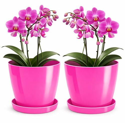 PECZEKO Macetero brillante, maceta de plantación de plástico con plato decorativo para plantas grandes y pequeñas, juego de 2 macetas con plato, macetero para hierbas, color fucsia, Ø 20 cm