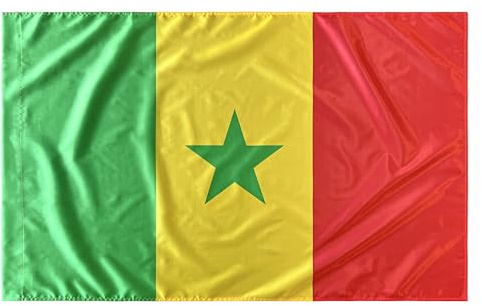 Durabol Drapeau Sénégal 150 x 90 cm Satin