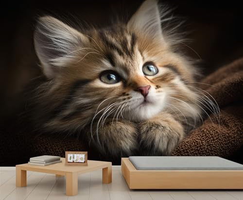 Kinder-Tapete mit Katzen-Motiv, niedliche Jungen-Tiere, Wandtapete für Kinderzimmer, Wohnzimmer, Sofa, TV-Hintergrund, großes Wandbild, Poster, 500 x 350 cm