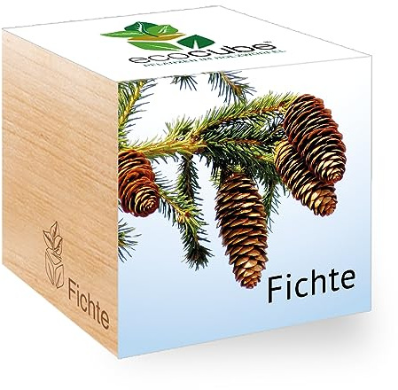 Ecocube Fichte, Nachhaltige Geschenkidee (100% Eco Friendly), Grow Your Own/Anzuchtset, Pflanzen Im Holzwürfel, Made in Austria