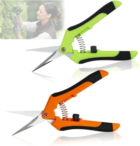 2pcs Klein Gartenschere, Astschere Bonsai Schere Baumschere Ernteschere, Pruning Shears Garden Scissors für Bonsai Pflanzen Blumen Ernte Obst Gemüse Baumschere mit geraden Klingen