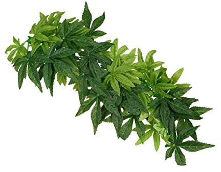 minkissy Piante Simulazione Per Terrario Rattan e Foglie Decorazione Habitat Per Rettili e Pesci Naturale Per Nascondiglio e Divertimento