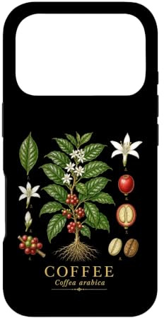 Coffee Coffea arabica Vintage Botanical Anatomy Study Plate Case for iPhone 17 Pro