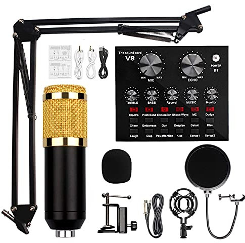 Ensemble de Microphones à condensateur avec Carte Son en Direct, Ensemble d'enregistrement de Studio Professionnel Bm-800 Mic, Carte Son en Direct avec Effets e
