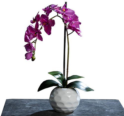ROLLER Orchidee-Phalaenopsis - Kunstpflanze - lila