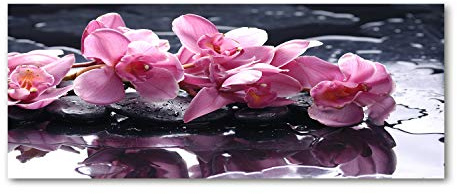 Tulup Glas-Bild Wandbild aus Glas - Wandkunst - Wandbild hinter gehärtetem Sicherheitsglas - Dekorative Wand für Küche & Wohnzimmer 125x50 - Blumen & Pflanzen - Rosa Orchidee - Rosa