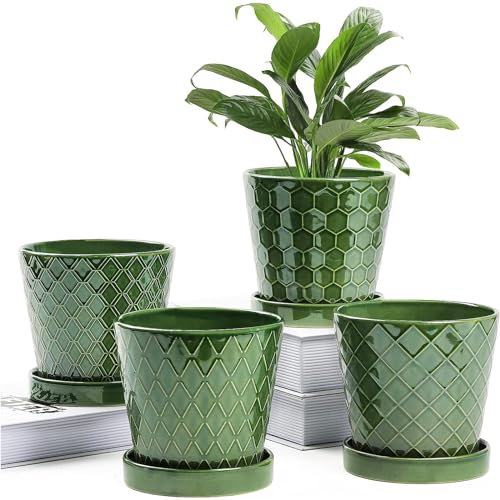 BUYMAX Lot de 4 Pots de Fleurs d'intérieur en céramique de 12,7 cm avec Trou de Drainage et Plateau en céramique – Jardinage, Maison, Bureau, décoration de Rebord de fenêtre, Cadeau – Plantes Non
