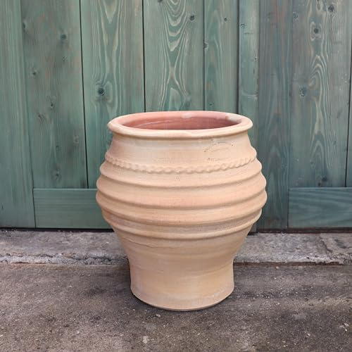 Palatina Werkstatt Exclusif en terre cuite Amphore Ficus 35 cm – 100 % fait main – Pièce unique pour le jardin et la maison – Une beauté intemporelle de Grèce