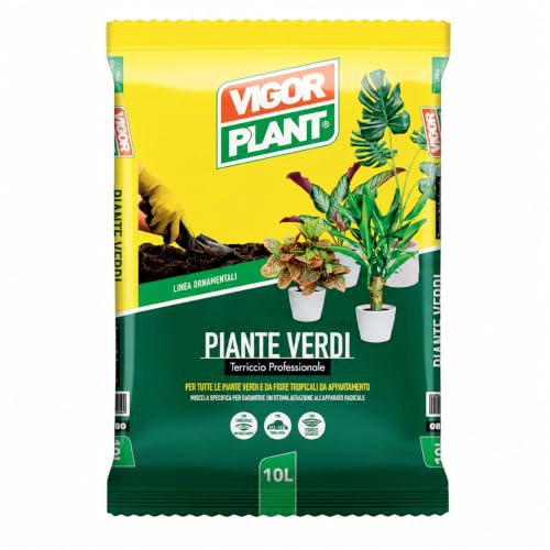 Terriccio Professionale Piante Verdi 10 L | Substrato per Rinvaso di Piante Tropicali da Appartamento | Fertile con Pomice, Torba, Fibra di Cocco, Concime NPK e Microelementi