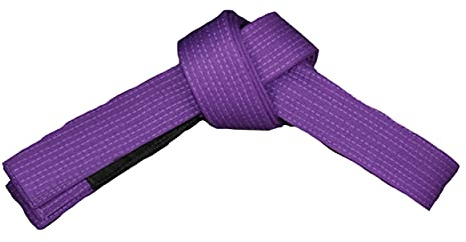 ROX Fit BJJ Belts Brazilian Jiu-Jitsu Belts Durable Lightweight Design Competition (A0 (240 cm), Purple)