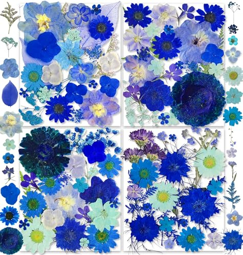 150 Stück Blaue Getrocknete Gepresste Blumen mit Schmetterlingsaufklebern – YouthBro echte Naturblumen-Kräuter-Set für Kunstharz, DIY-Schmuck, Kerzen, Seife