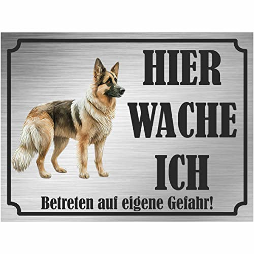 INDIGOS UG - Deutscher Schäferhund - Schild bedruckt - Hier wache ich - Aluverbundplatte Edelstahl Look - ab 20x15 cm - Spruch - Deko Geschenkidee für Ihren Hund - Zaun - Türschild