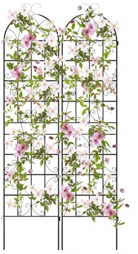 COSTWAY Rankgitter Metall 220 cm hoch, 2er Set, dekorativer Gartenzaun, freistehende Rankhilfe, Spalier Garten zum Stecken, Rankspalier für Kletterpflanzen Blume Gemüse, freistehend (Schwarz)