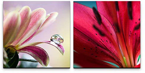 Paul Sinus Art Wandbild 2x60x60cm Zinnie Blumen Blüten Rot Wasserperle Dekorativ Makrofotografie