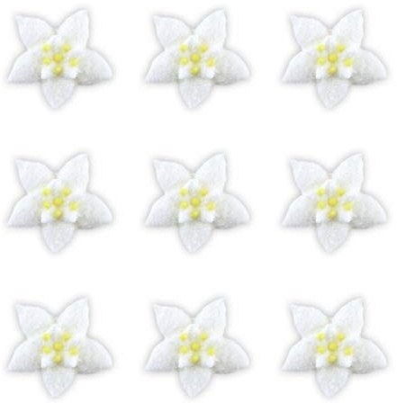 Cake Company Tortendeko Geburtstag | Edelweiß Zuckerblume ca.30mm 60 Stck