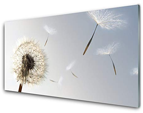 Tulup Glas Küchenrückwand – 100x50 cm Spritzschutz Glasrückwand Küchenwandpaneel Wandschutz Glasplatte Herdblende Nischenrückwand - Pusteblume Pflanzen