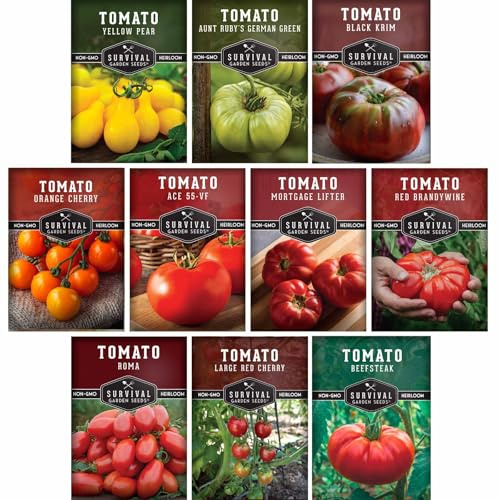Tomato Seeds 10 Variety Pack for Planting - Black Krim, Roma, Cherry, Aunt Ruby's Green, Orange Cherry, Mortgage Lifter, Brandywine, & More - Non-GMO Heirloom Tomatoes - Survival Garden Seeds