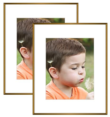 Frametory, 16x20 Bronze Aluminum Picture Frame - Set of 2 - Ideal for Displaying 11x14 Photos with Mat or 16x20 Without Mat - Real Glass Front - Simple Gallery Wall Frames for Art Prints and Posters