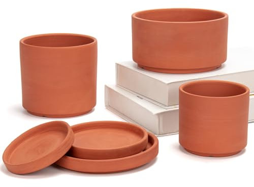Briful 3 vasi in terracotta con foro di scarico per piante grasse, ideali per piante, fai da te, regalo di nozze