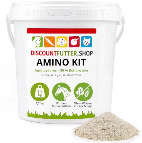 Amino Kit Pulver für Pferde, Aminosäuren, 80% Rohprotein, 1,2 kg | Ohne Zucker & Getreide, für den Muskelaufbau