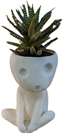Bonbela Visage Lumineux Planteur Pot Tête Pot De Fleur Mignon Résine Succulente Planteur Flowerpot avec Drain Trou pour Maison Bureau Décor (Light)