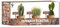 Kit Cactus – Mini kit listo para crecer (Echinocactus Grusonii, Opuntia Microdasys, Polaskia Chichipe) – Plantas grasas decoración interior – Semillas orgánicas – Regalo inusual para mujer – DIY